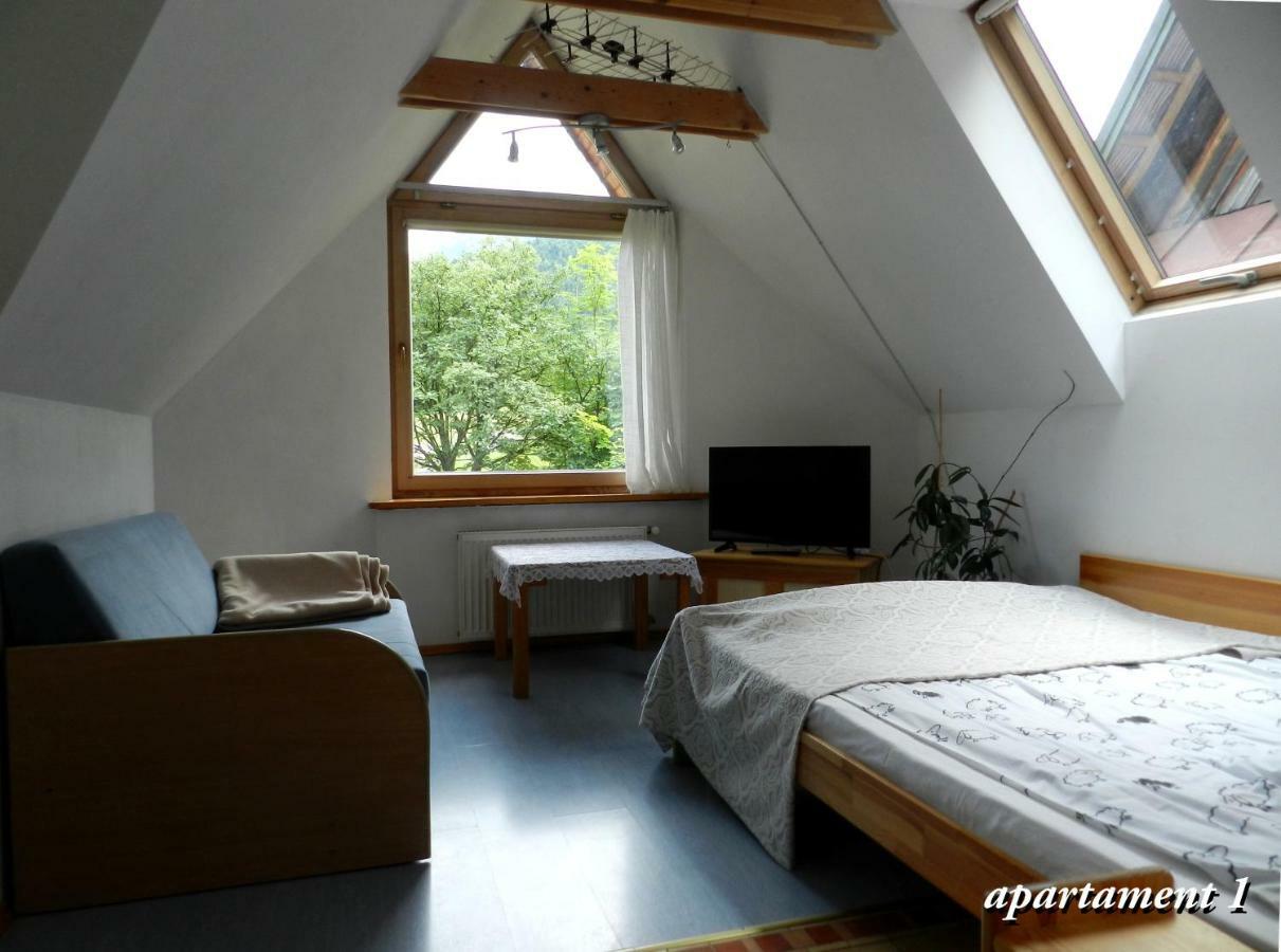 Apartamencik Z Widokiem Na Giewont Ζακοπάνε Εξωτερικό φωτογραφία