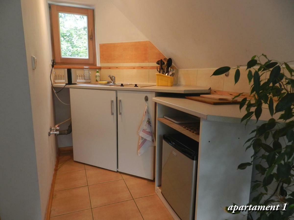 Apartamencik Z Widokiem Na Giewont Ζακοπάνε Εξωτερικό φωτογραφία