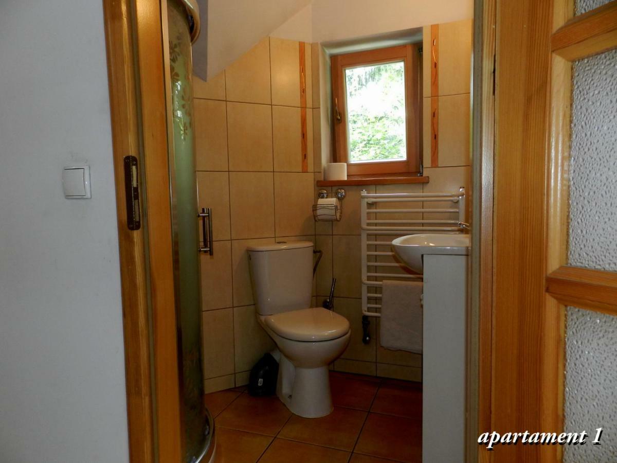 Apartamencik Z Widokiem Na Giewont Ζακοπάνε Εξωτερικό φωτογραφία